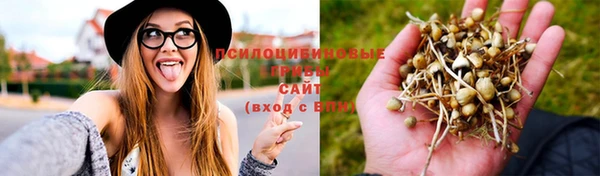 COCAINE Иннополис
